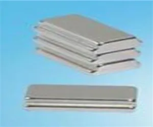 allotype