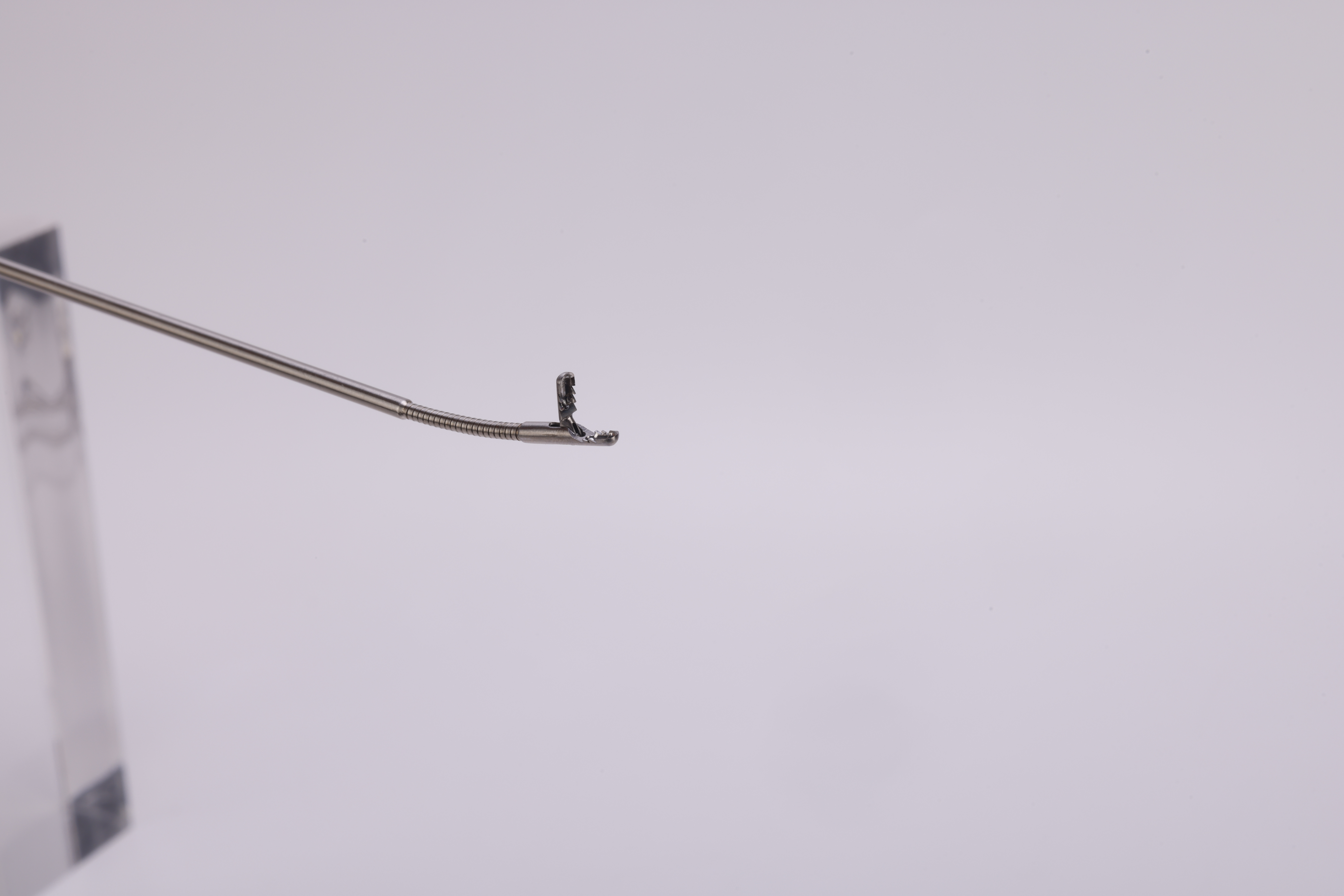 J0A0231