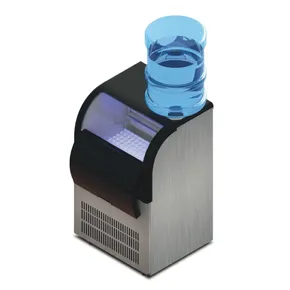 Ice maker