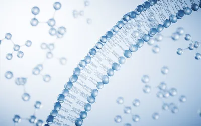 J. Nanobiotech.| 黄强团队设计自组装型多价蛋白束，提升抗病毒蛋白药物的亲和性与广谱性