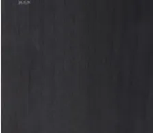 CY2038B-枝叶相持B