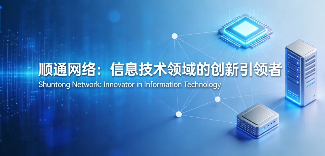 顺通网络：信息技术领域的创新引领者