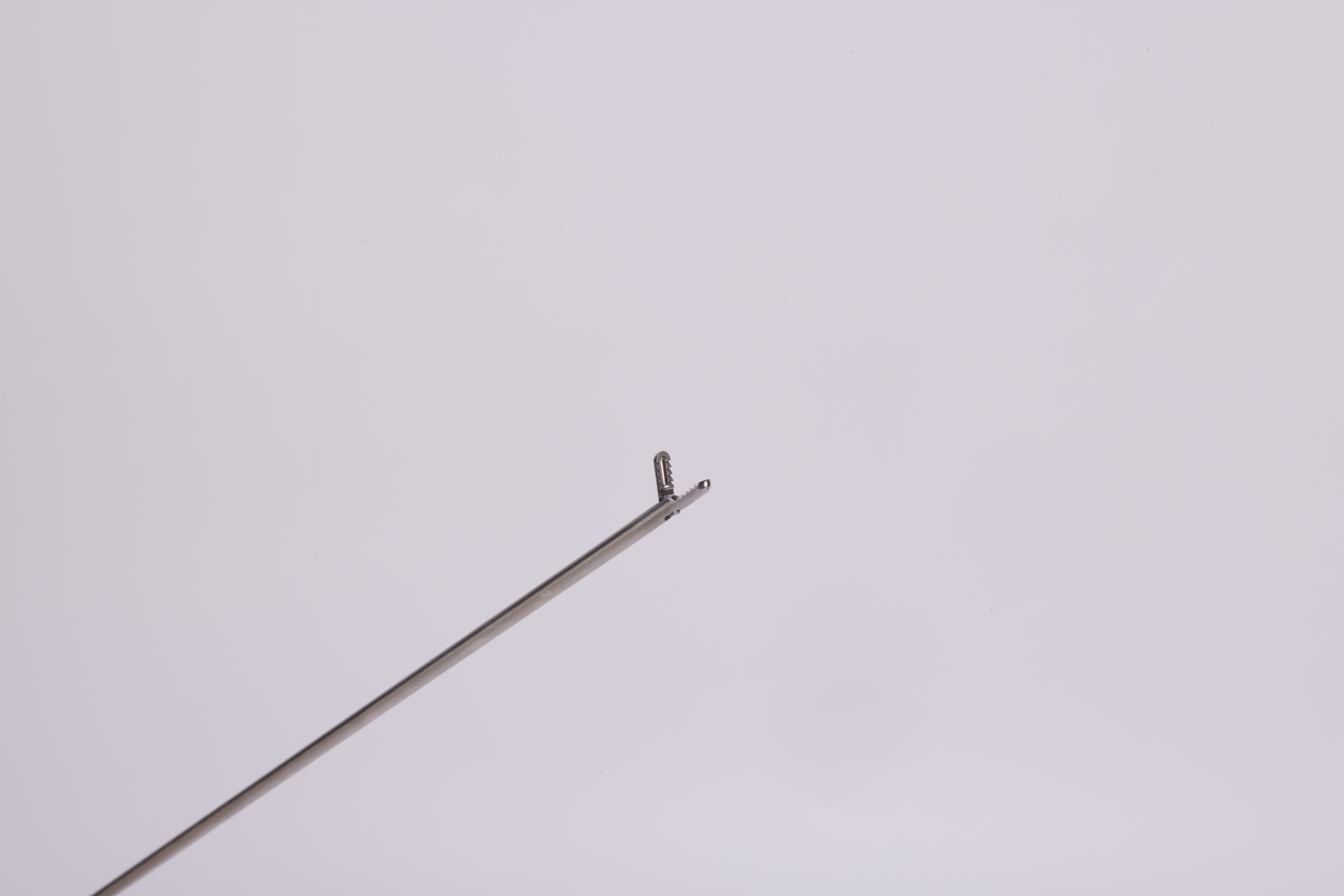 J0A0206