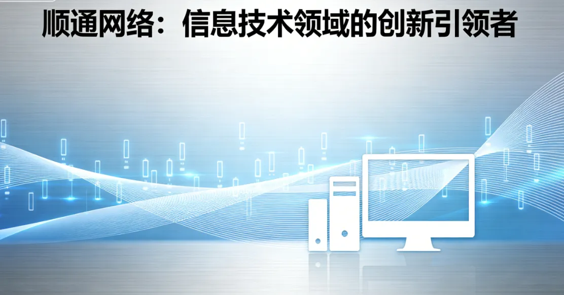 顺通网络：信息技术领域的创新引领者