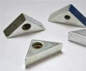 allotype