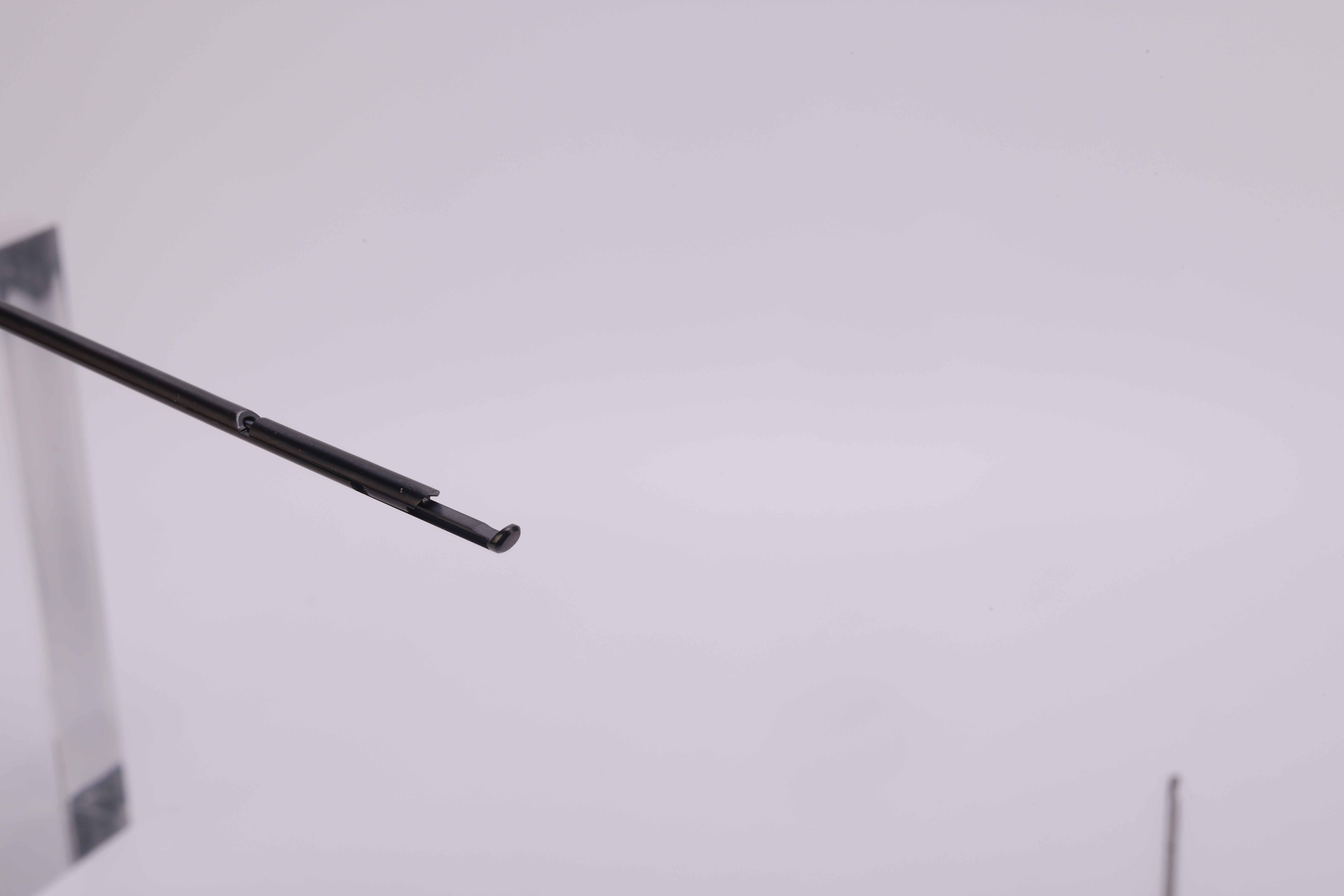 J0A0244