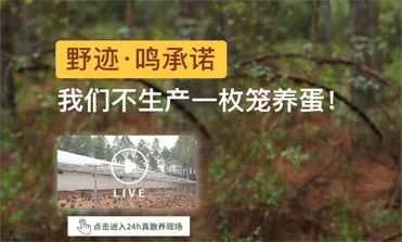 野迹鸣