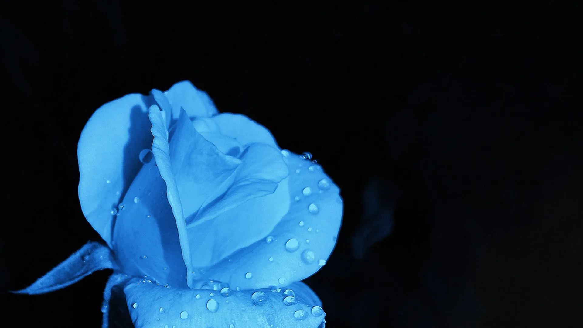 服装ERP解决方案