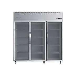 Kitchen glass door, three door refrigerator