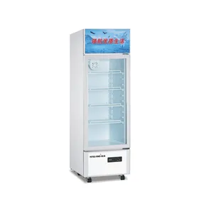 Vertical display cabinet LC-258