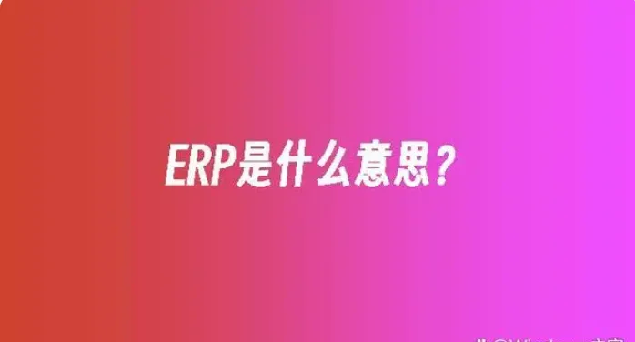 ERP是什么意思